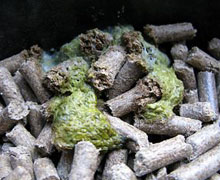 groen